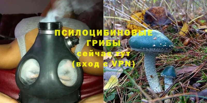 Галлюциногенные грибы MAGIC MUSHROOMS  Ступино 